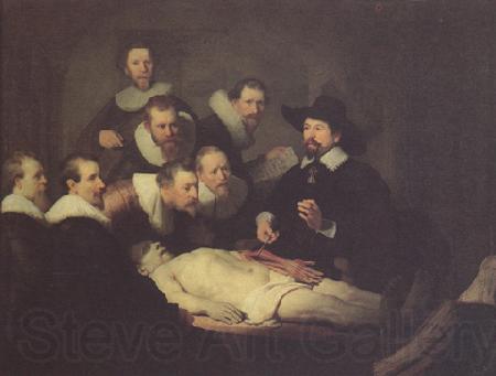 REMBRANDT Harmenszoon van Rijn The anatomy Lesson of Dr Nicolaes tulp (mk33) Spain oil painting art